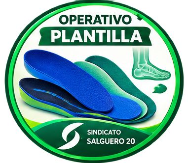 Operativo Plantilla