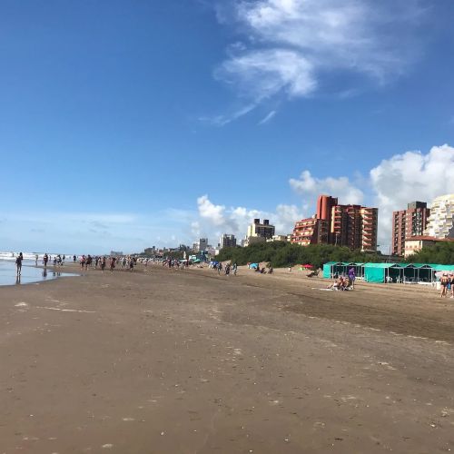 MAR DE AJO (Verano 2027)