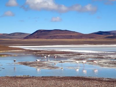 LAGUNA BRAVA Y VALLES MILENARIOS